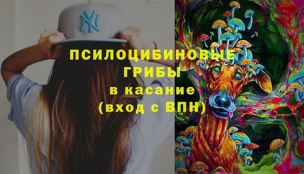 шишки Алексеевка