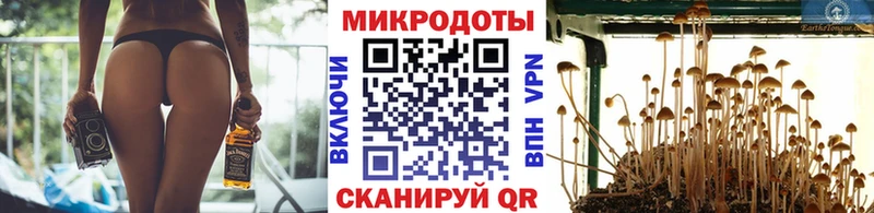 Галлюциногенные грибы Cubensis  Данков 