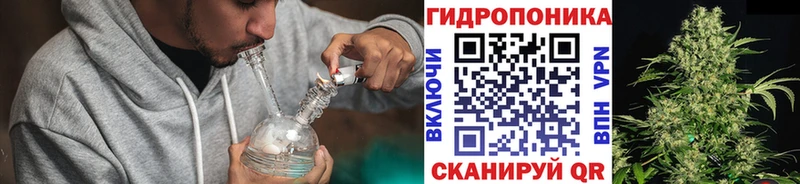МАРИХУАНА семена  Данков 